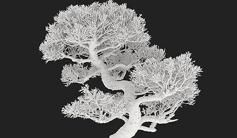 CTスキャンで3Dデータ化された盆栽