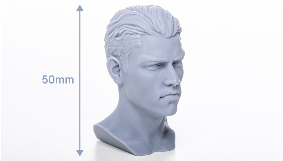 男性の顔の模型